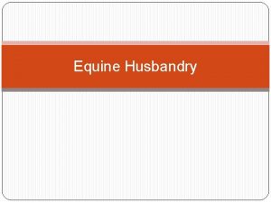 Equine Husbandry Materials Feed and water Hoof care