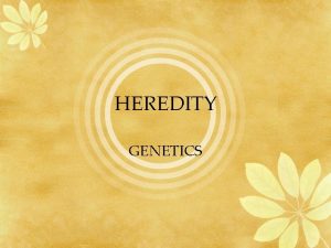 HEREDITY GENETICS HEREDITY Heredity Is the passing of