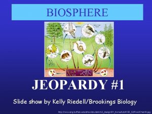 BIOSPHERE JEOPARDY 1 Slide show by Kelly RiedellBrookings