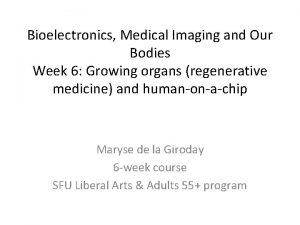 Bioelectronics Medical Imaging and Our Bodies Week 6