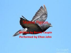 Skyline Pigeon Written by Bernie Taupin Performed by