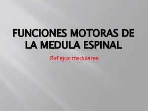 FUNCIONES MOTORAS DE LA MEDULA ESPINAL Reflejos medulares