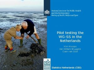 Pilot testing the WGSS in the Netherlands Kim