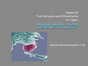 Chapter 10 Tcell Activation and Differentiation Dr Capers