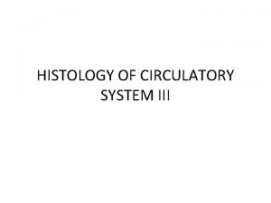 HISTOLOGY OF CIRCULATORY SYSTEM III SMALL ARTERIES ARTERIOLES