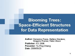Blooming Trees SpaceEfficient Structures for Data Representation Author