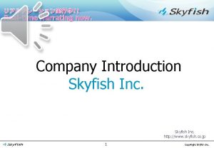 Realtime Narrating now Company Introduction Skyfish Inc http