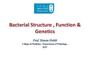 Bacterial Structure Function Genetics Prof Hanan Habib College