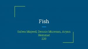 Fish Salwa Majeed Dennis Muresan Aryan Hemmat 220