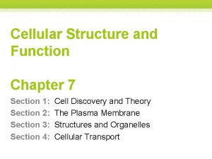 Chapter 7 section 4 cellular transport