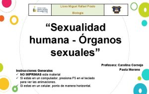 Liceo Miguel Rafael Prado Biologa Sexualidad humana rganos