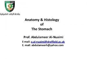 Anatomy Histology of The Stomach Prof Abdulameer AlNuaimi