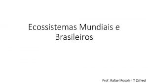 Ecossistemas Mundiais e Brasileiros Prof Rafael Rosolen T