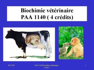 Biochimie vtrinaire PAA 1140 4 crdits 091798 PAA