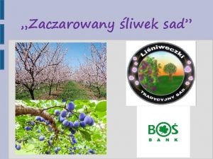 Zaczarowany liwek sad liwy naszych przodkw liwy podobnie