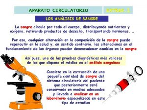 APARATO CIRCULATORIO EXTRAS 1 LOS ANLISIS DE SANGRE