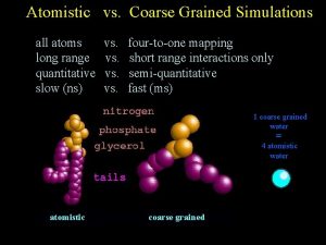 Atomistic vs Coarse Grained Simulations all atoms long