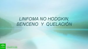 LINFOMA NO HODGKIN BENCENO Y QUELACIN Encuentran mayor