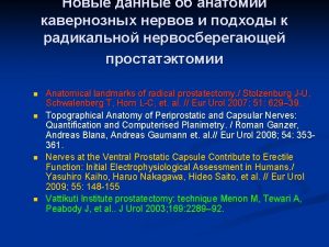 n n Anatomical landmarks of radical prostatectomy Stolzenburg