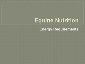 Equine Nutrition Energy Requirements Energy Requirements for Maintenance