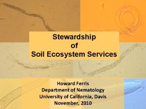 Stewardship of Soil Ecosystem Services Howard Ferris Department