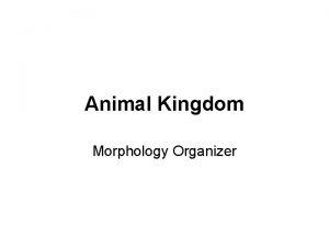 Animal Kingdom Morphology Organizer Symmetry Radial Symmetry Bilateral