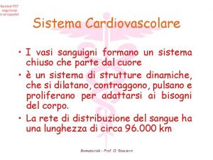 Sistema Cardiovascolare I vasi sanguigni formano un sistema