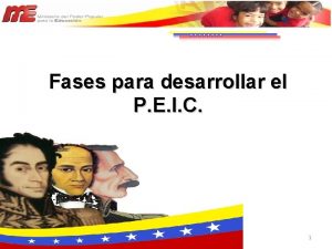 Fases del peic