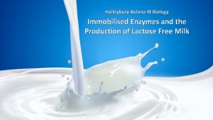 Haileybury Astana IB Biology Immobilised Enzymes and the