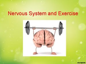 Nervous System and Exercise Neuron A Nerve cell