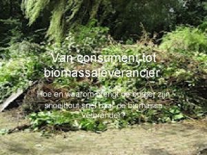 Van consument tot biomassaleverancier Hoe en waarom brengt