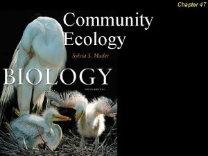 Chapter 47 Community Ecology Community Ecology Outline The