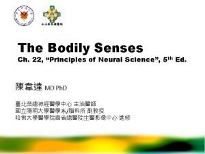 Bodily senses Bodily senses somatic sensation Large variety