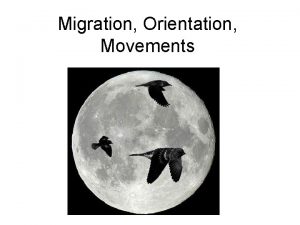 Migration Orientation Movements What is migration Migration An