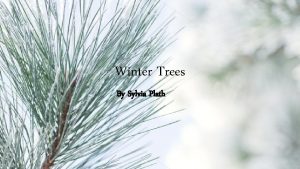 Winter Trees By Sylvia Plath Main Themes Of