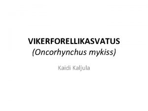 VIKERFORELLIKASVATUS Oncorhynchus mykiss Kaidi Kaljula Bioloogia Sstemaatika kategooriad