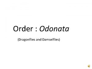 Order Odonata Dragonflies and Damselflies This scientific name