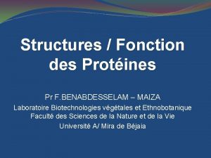 Structures Fonction des Protines Pr F BENABDESSELAM MAIZA