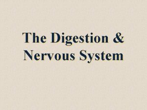 The Digestion Nervous System The process by which