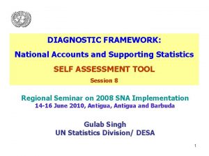 DIAGNOSTIC FRAMEWORK National Accounts and Supporting Statistics SELF