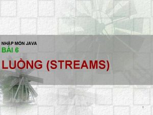 NHP MN JAVA BI 6 LUNG STREAMS 1