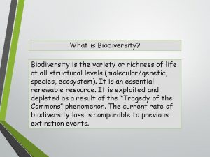 What is Biodiversity Biodiversity is the variety or