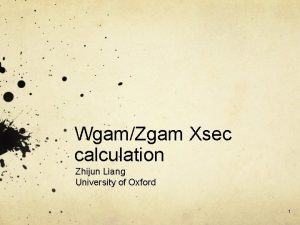 WgamZgam Xsec calculation Zhijun Liang University of Oxford