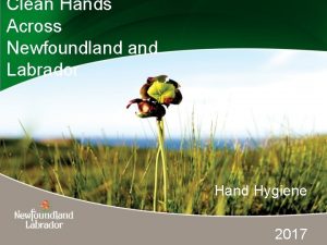 Clean Hands Across Newfoundland Labrador Hand Hygiene 2017