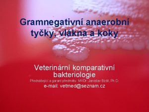 Gramnegativn anaerobn tyky vlkna a koky Veterinrn komparativn