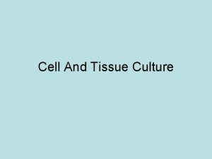 Cell And Tissue Culture Why is it useful