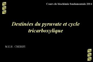 Cours de biochimie fondamentale 2014 Destines du pyruvate