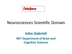 Data Space Neurosciences Scientific Domain John Gabrieli MIT