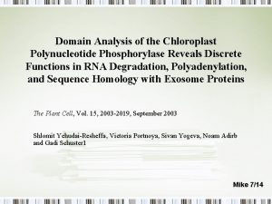 Domain Analysis of the Chloroplast Polynucleotide Phosphorylase Reveals