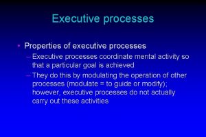 Executive processes Properties of executive processes Executive processes